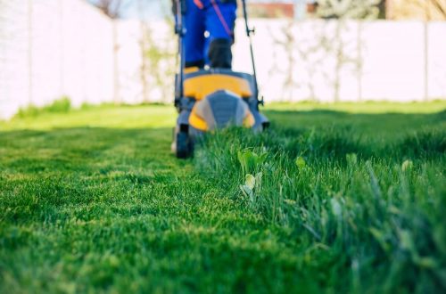 grass-cutting