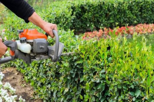 Hedge Cutting