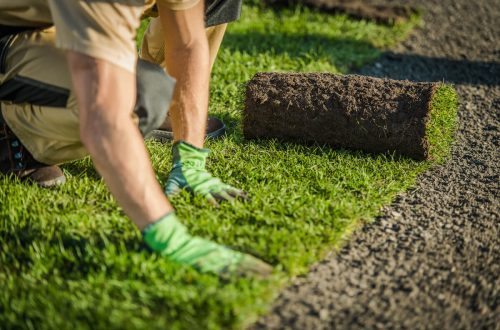 Lawn / Turf Installation