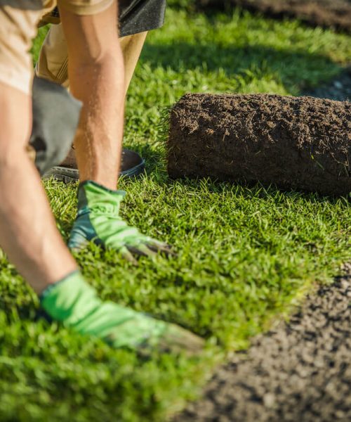 Lawn / Turf Installation