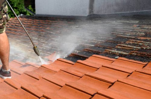 roof-cleaning