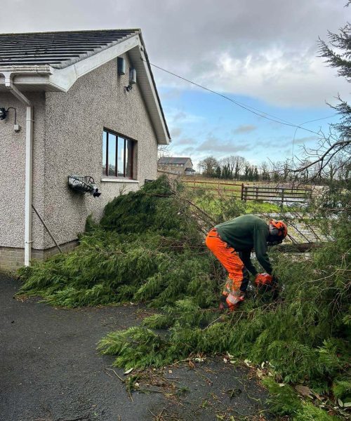 Emergency Tree Services