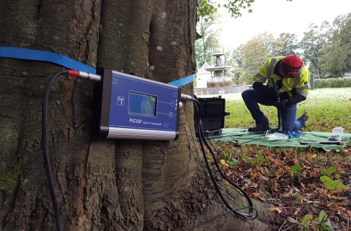 Tree Health Assessment